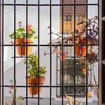 Casa Mariposa